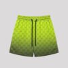 DB01409 High Quality Shorts